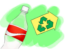 Coleridge Primary School - Eco Greenhouse